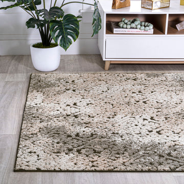 Duenas High-low Shabby Damask Area Rug